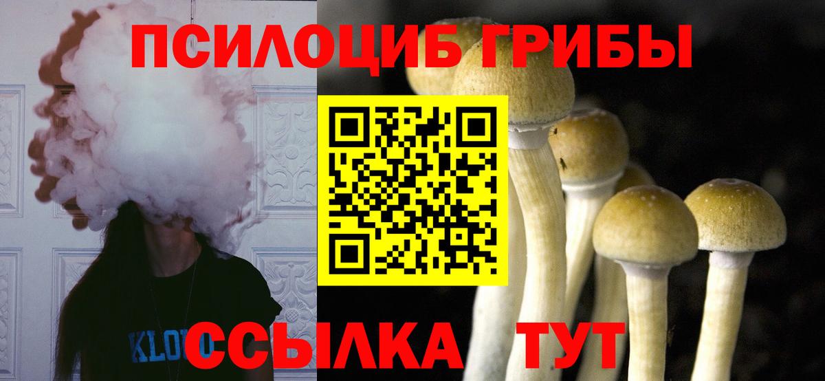 Галлюциногенные грибы GOLDEN TEACHER Ступино